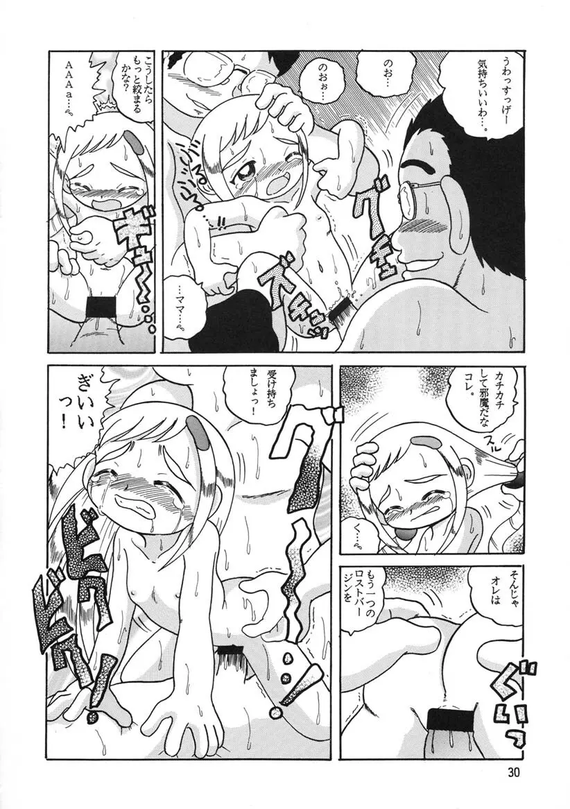 HI-PHS Ⅴ Page.29