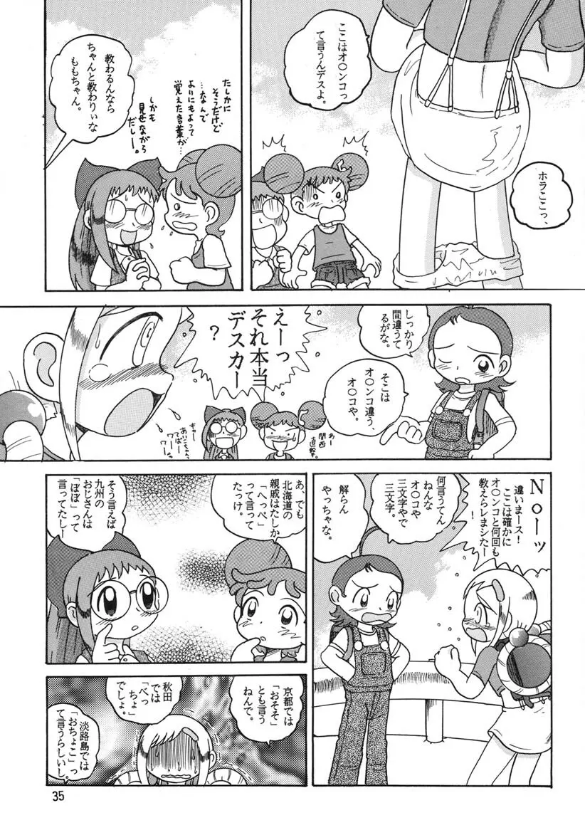 HI-PHS Ⅴ Page.34