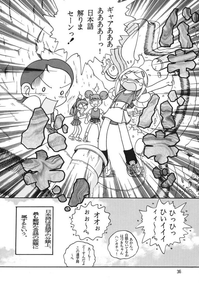 HI-PHS Ⅴ Page.35