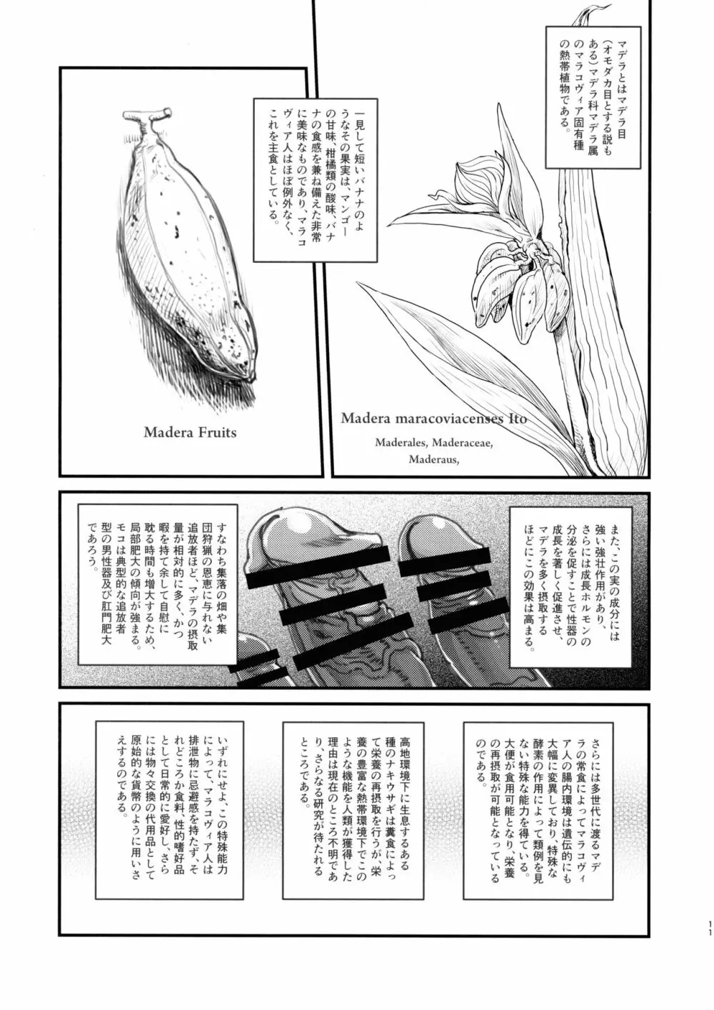 男根のエスノグラフィ ─マラコヴィアの性と排泄─ Page.10