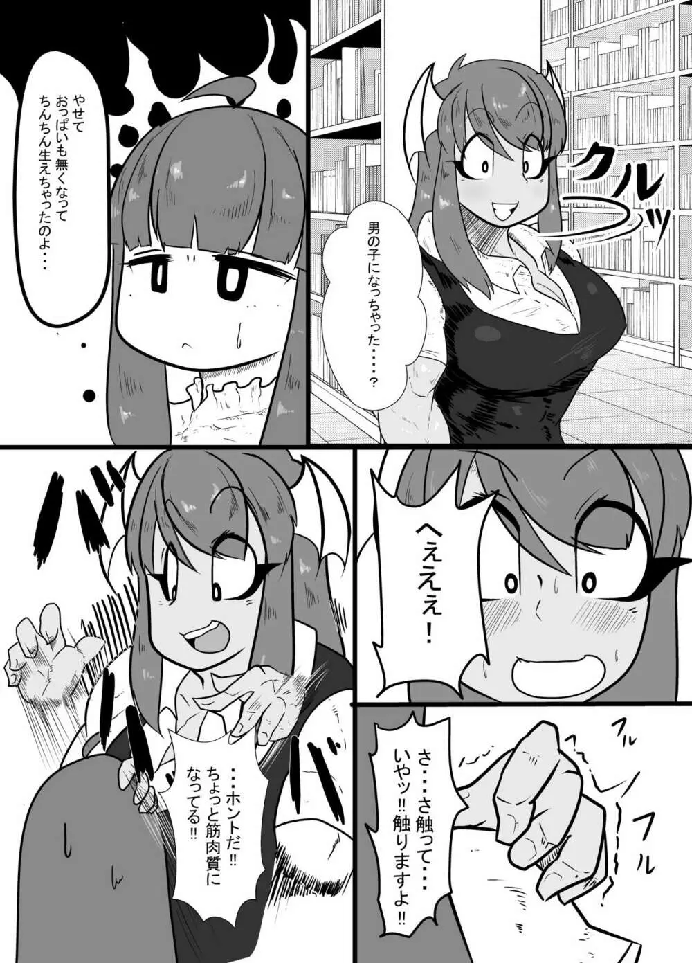 倒錯! ぱちゅこあっくす Page.3