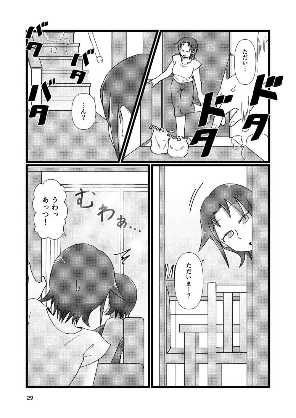 ぼくとなつやすみのあね Page.29