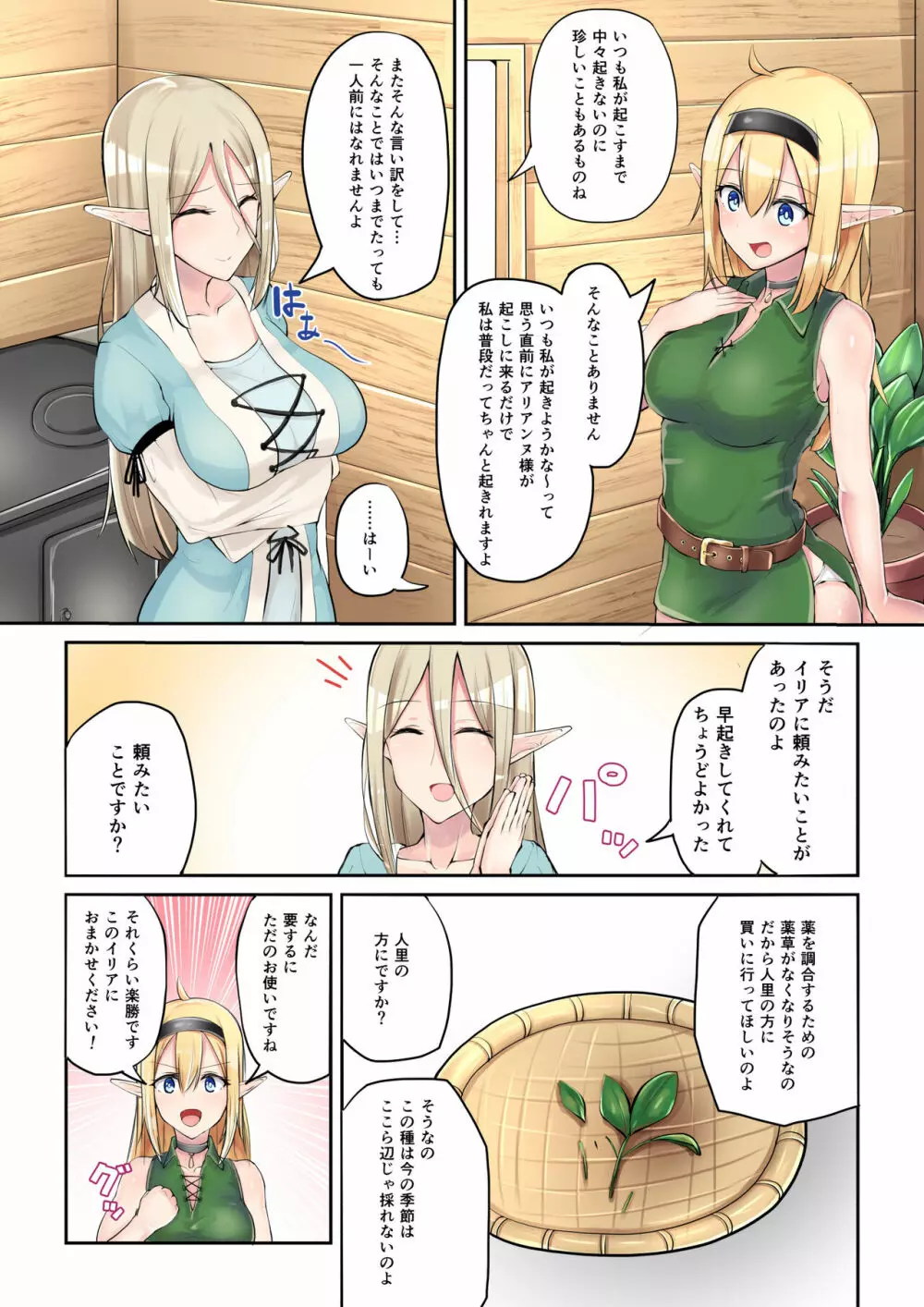 エルフのおつかい! Page.3