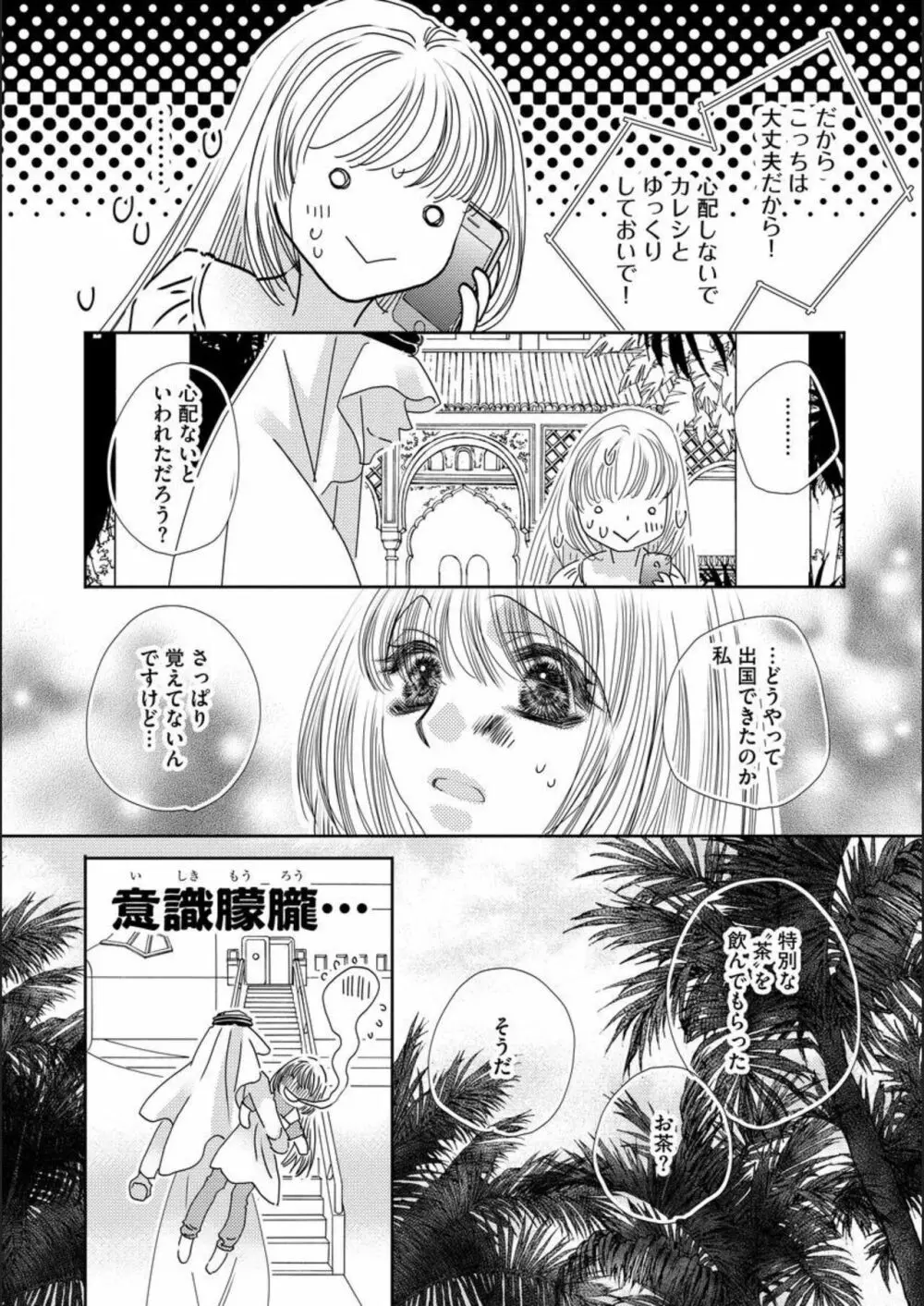 俺様シークの花嫁奴隷（分冊版）1 Page.18