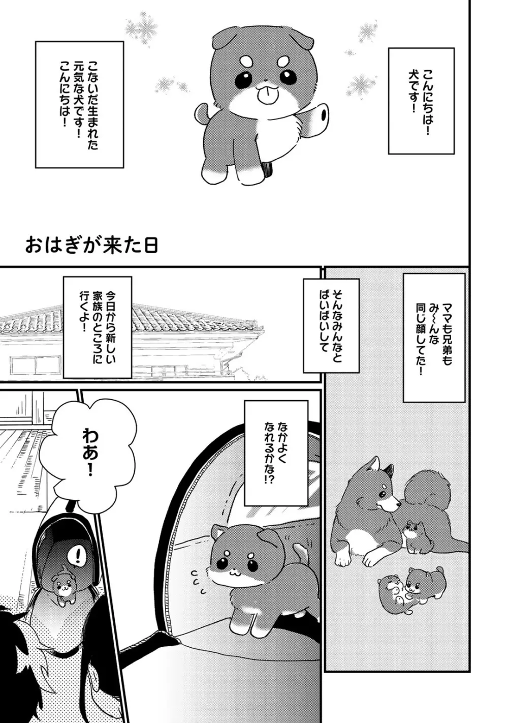 初恋エスケイプ Page.205
