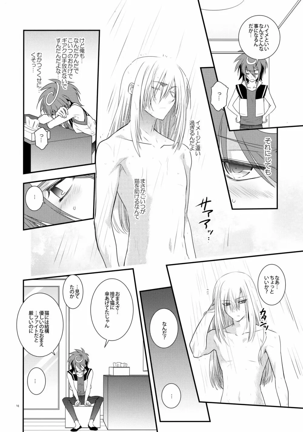 濡れ羽根の天蓋と迷い猫 Page.13