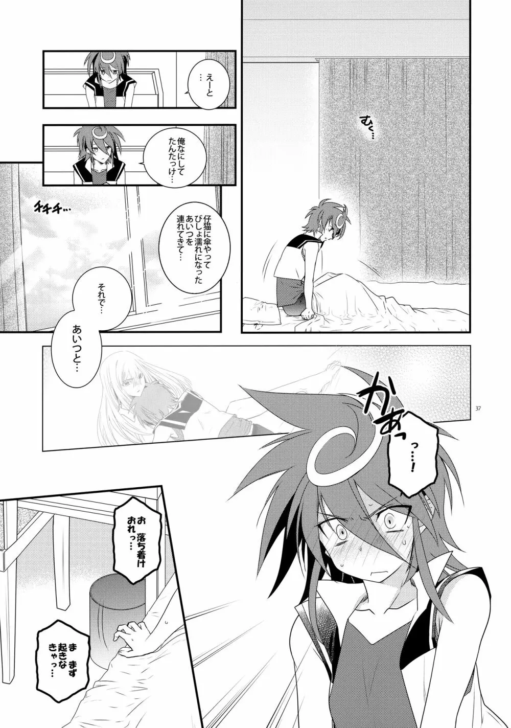 濡れ羽根の天蓋と迷い猫 Page.36