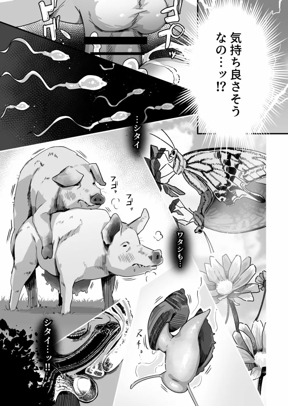 今日の授業は、地球人の繁殖活動の観察です。 Page.24
