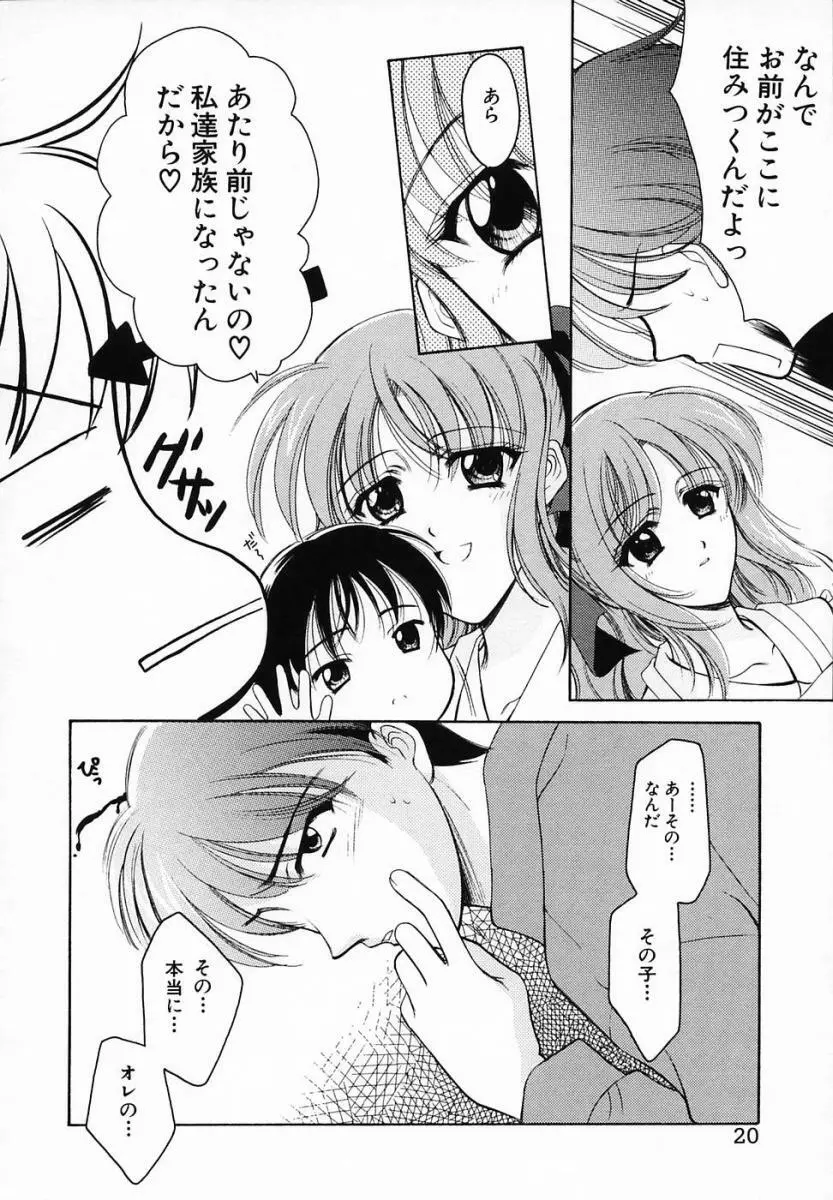 SINFUL DAYS ～背徳の日々～ 3 Page.24