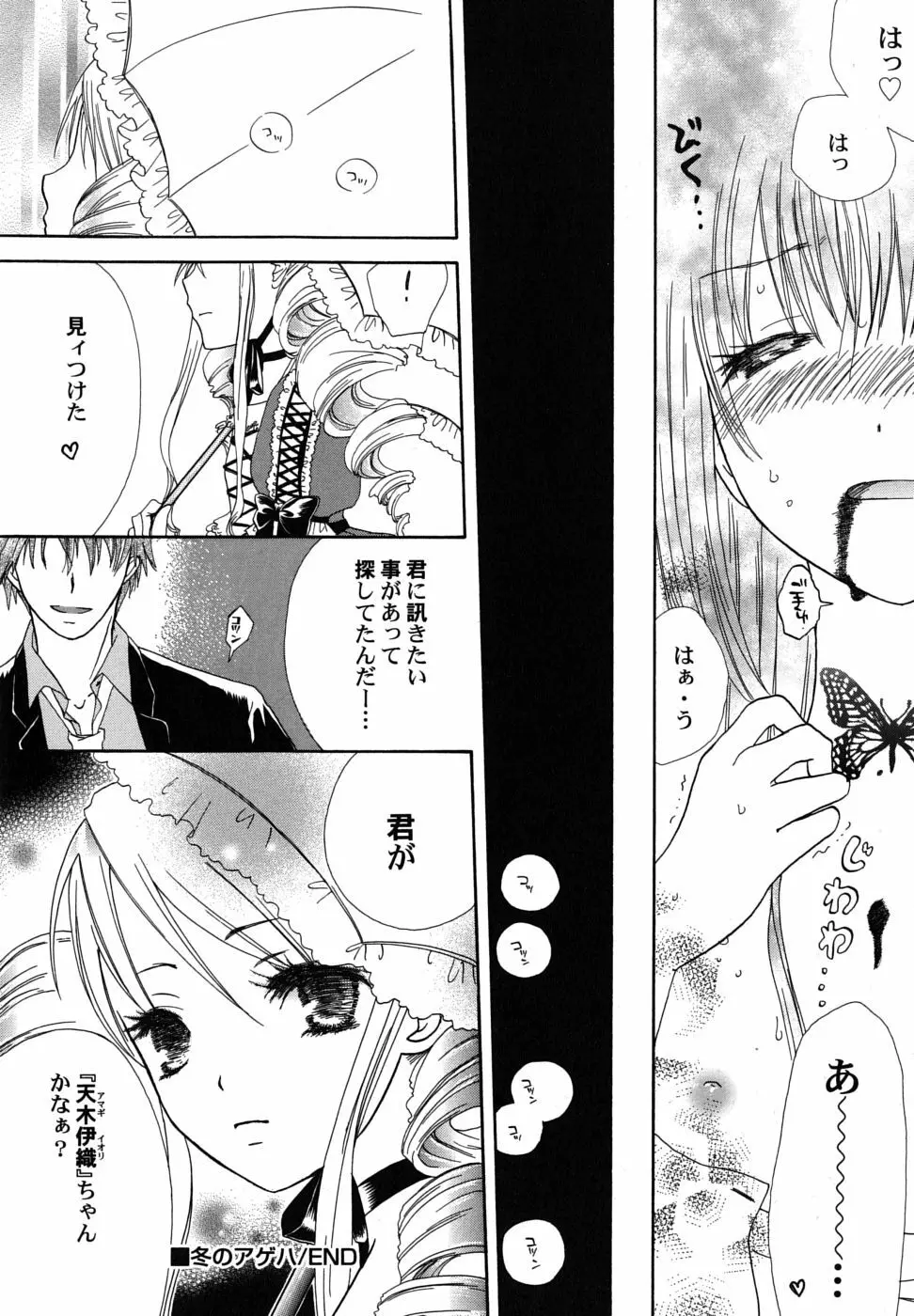 冬のアゲハ Page.37