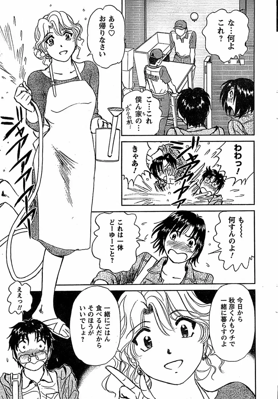 COMIC キャンドール 2009年1月号 Vol.60 Page.31