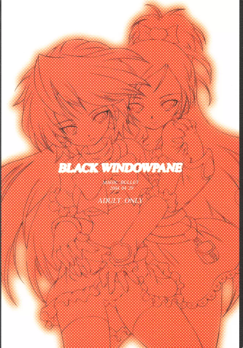 BLACK WINDOWPANE Page.14