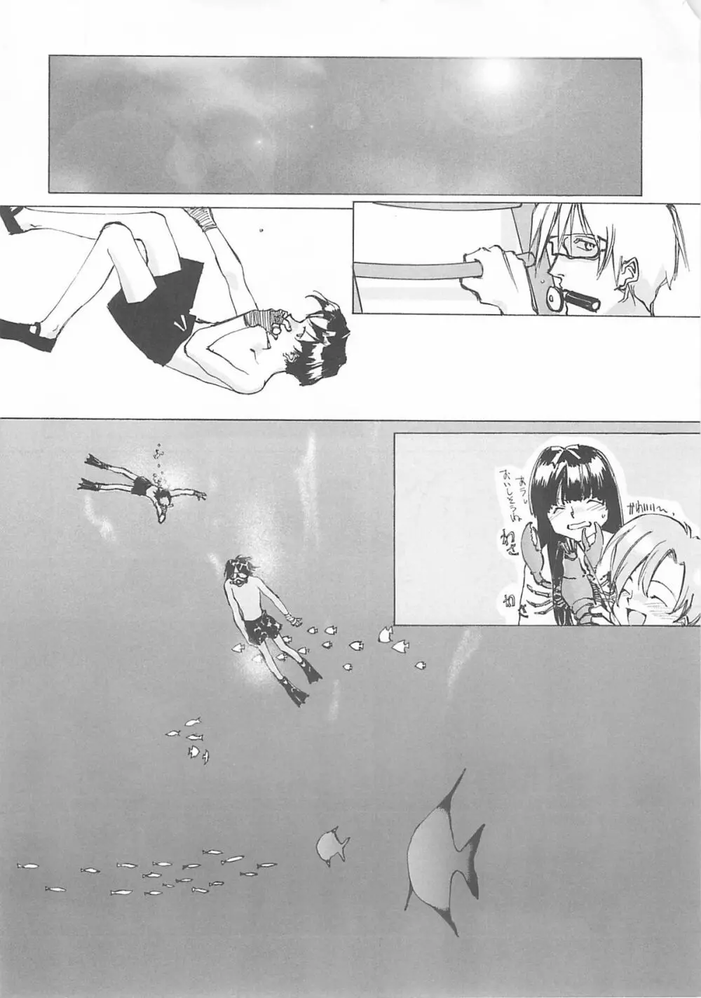 D+COLLECTION Page.245