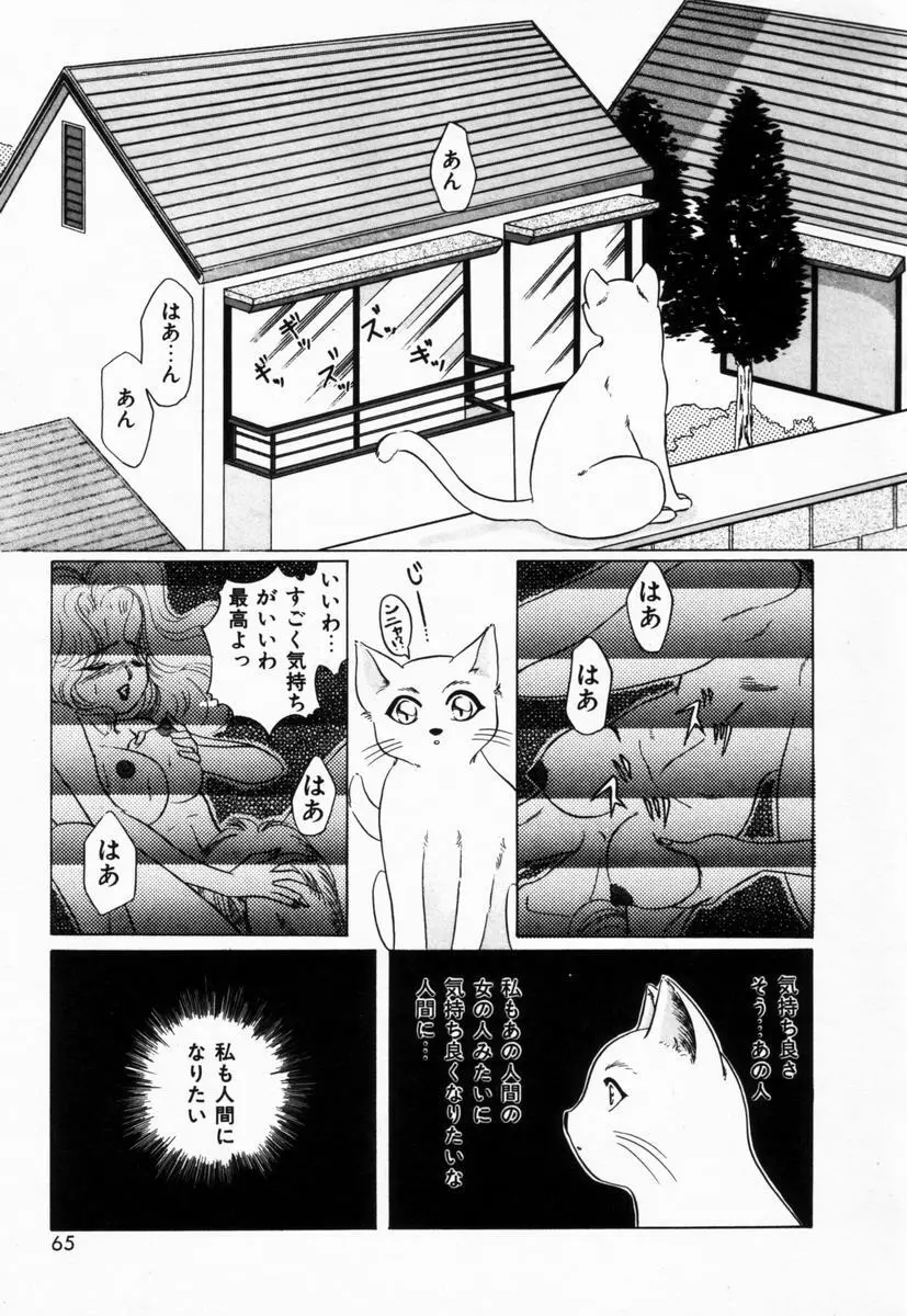 生徒会長はFカップ Page.68