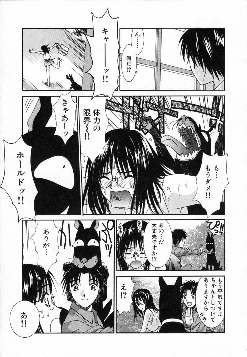 ボクの家庭教師 Page.12