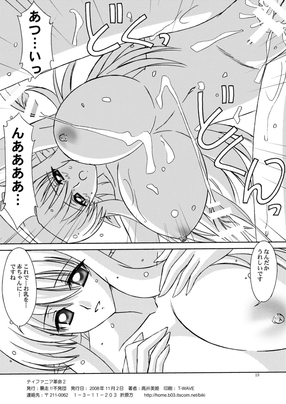 ティファニア革命 2 Page.17