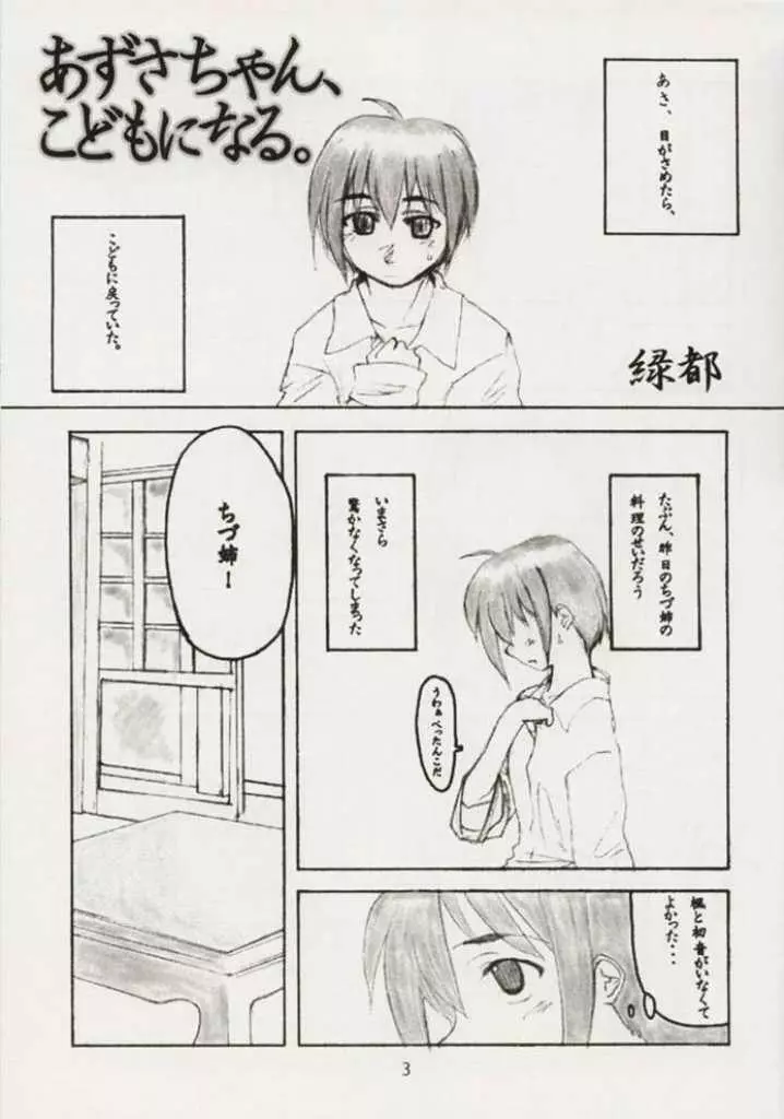 梓なのに貧乳本 Page.3