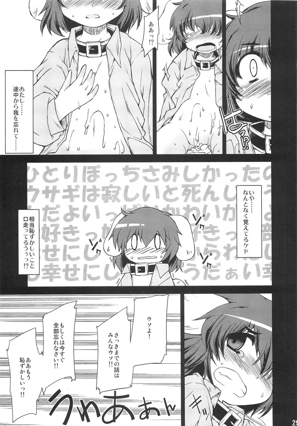 ○○さんちのしろうさぎ Page.29