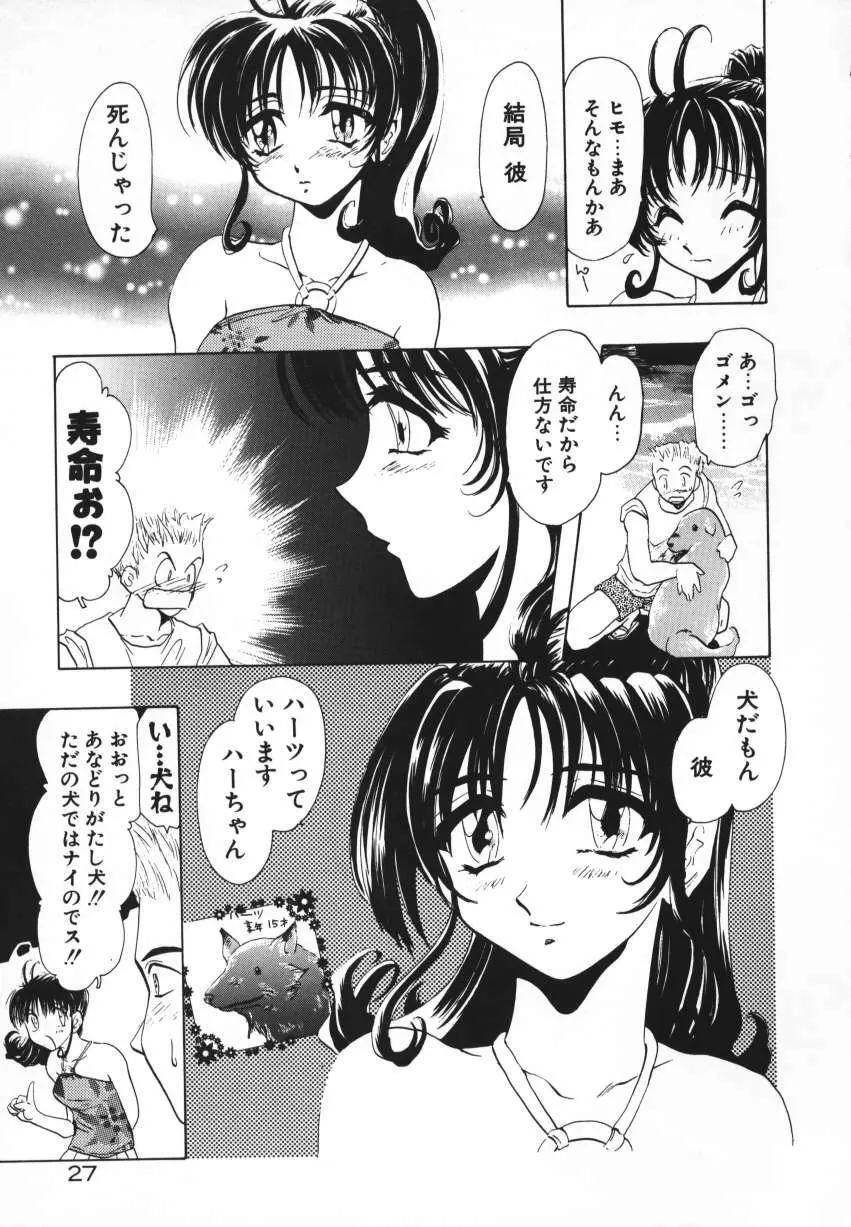 天使の羽コレクション Page.30