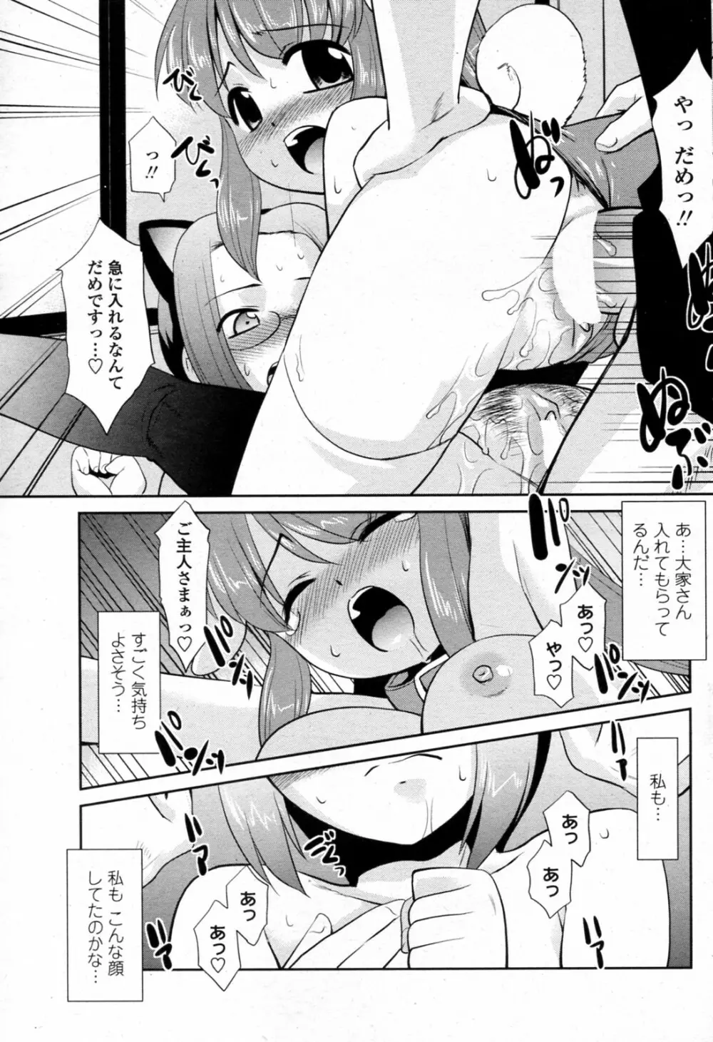 ビックハウスペットプラス Page.15