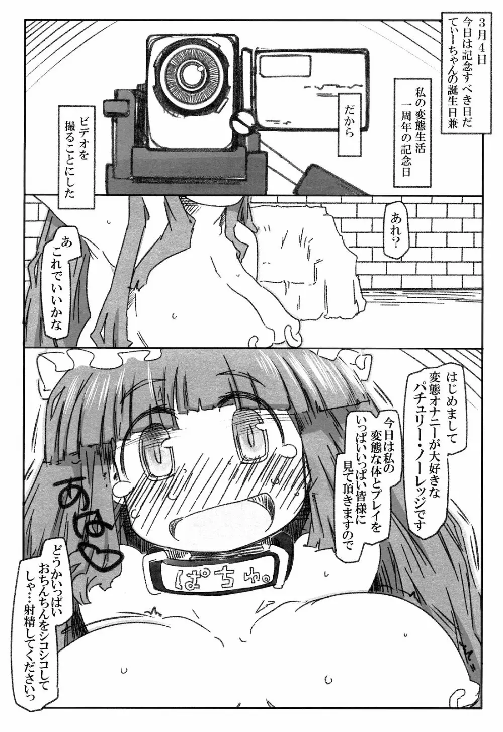 変態パチュリの自己調教日誌 Page.10