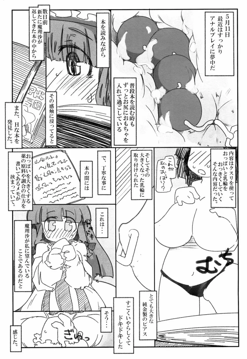 変態パチュリの自己調教日誌 Page.3