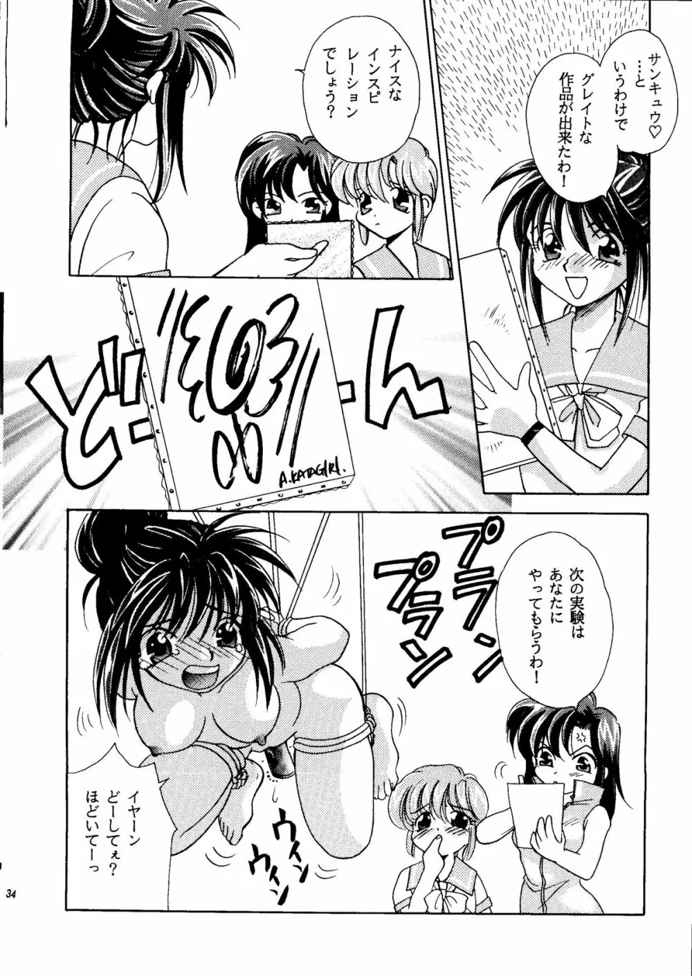 ときめきメモリアル 軽い気敏な子猫何匹いるか Page.33