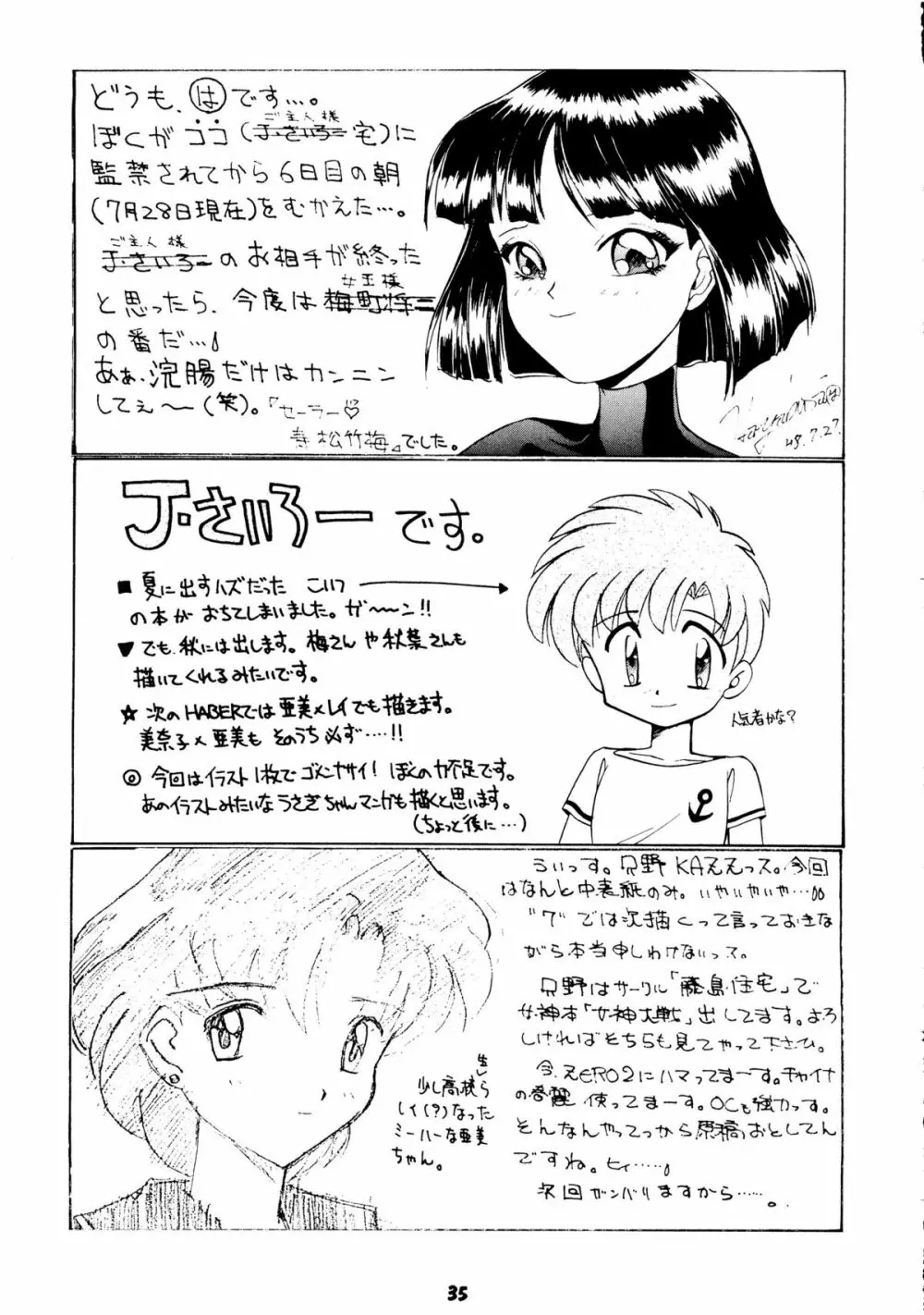 [梅助 (J・さいろー) HABER 8 SILVER MOON (セーラームーン) Page.34