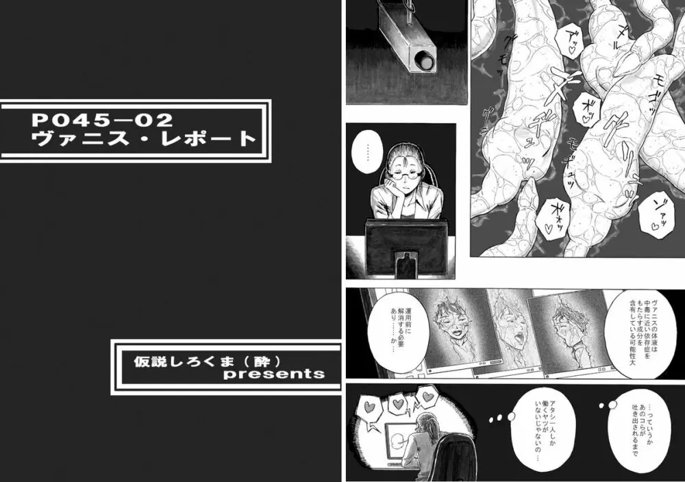 P045-02 ヴァニス・レポート Page.25