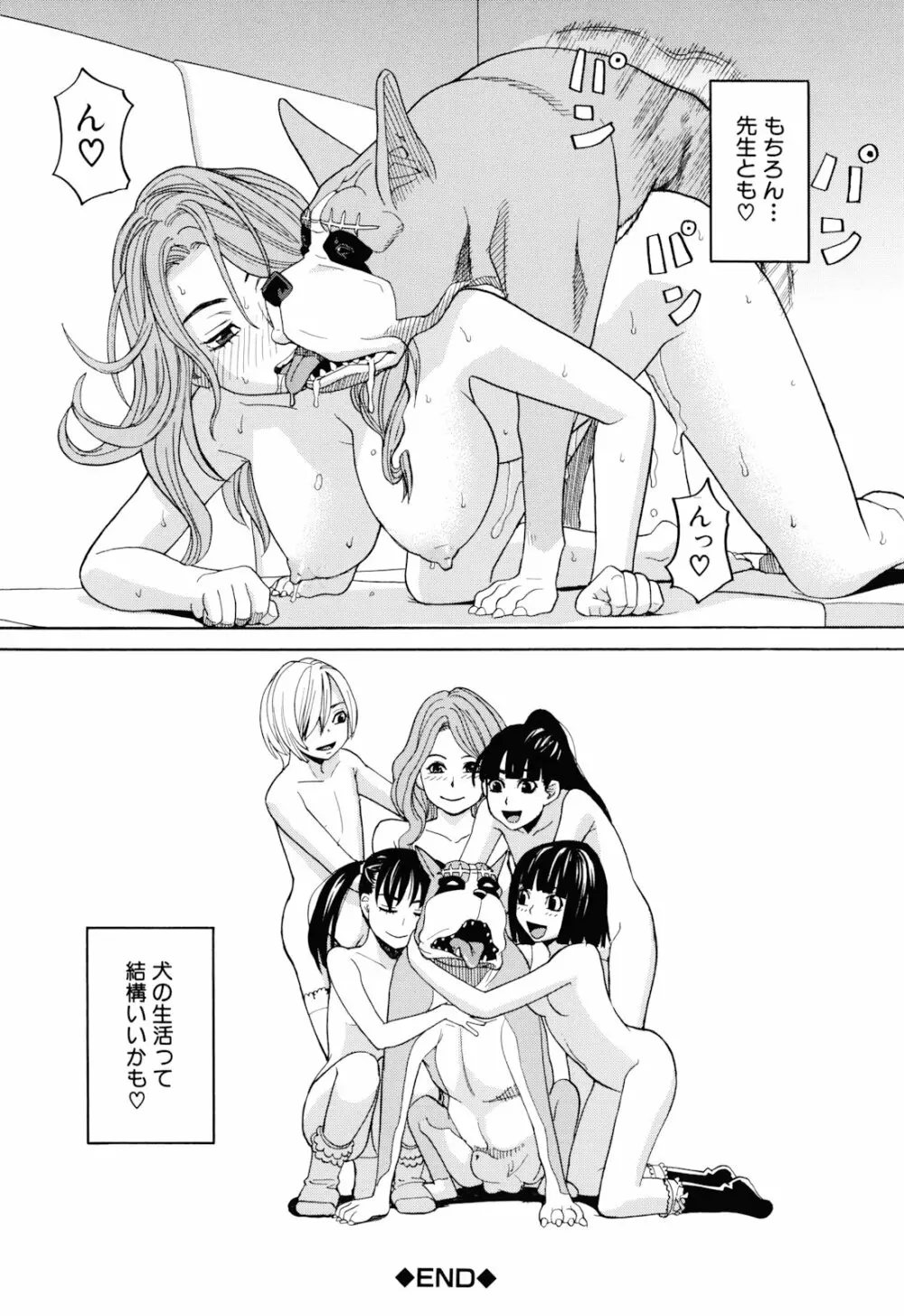 犬の生活 Page.224