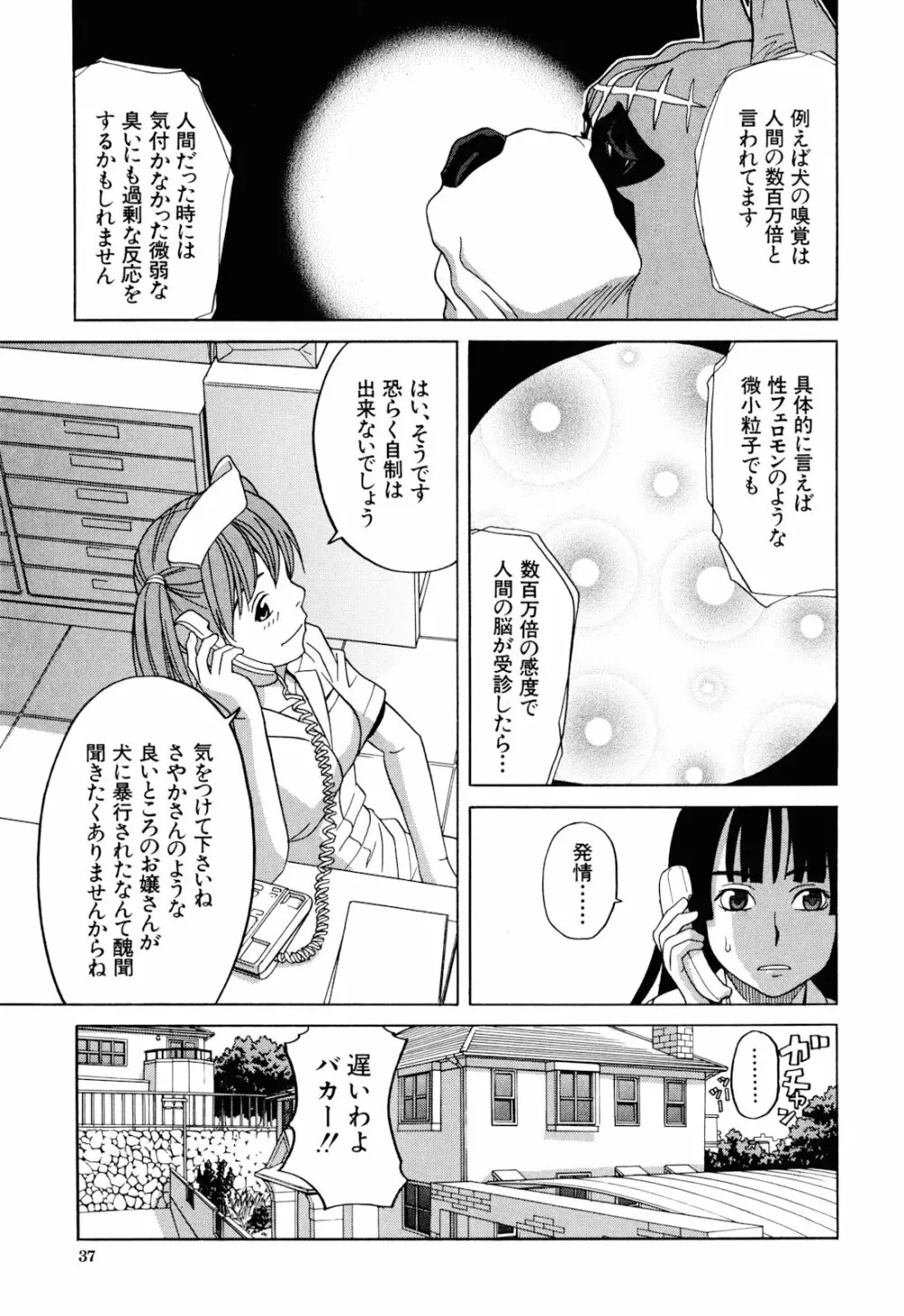 犬の生活 Page.39