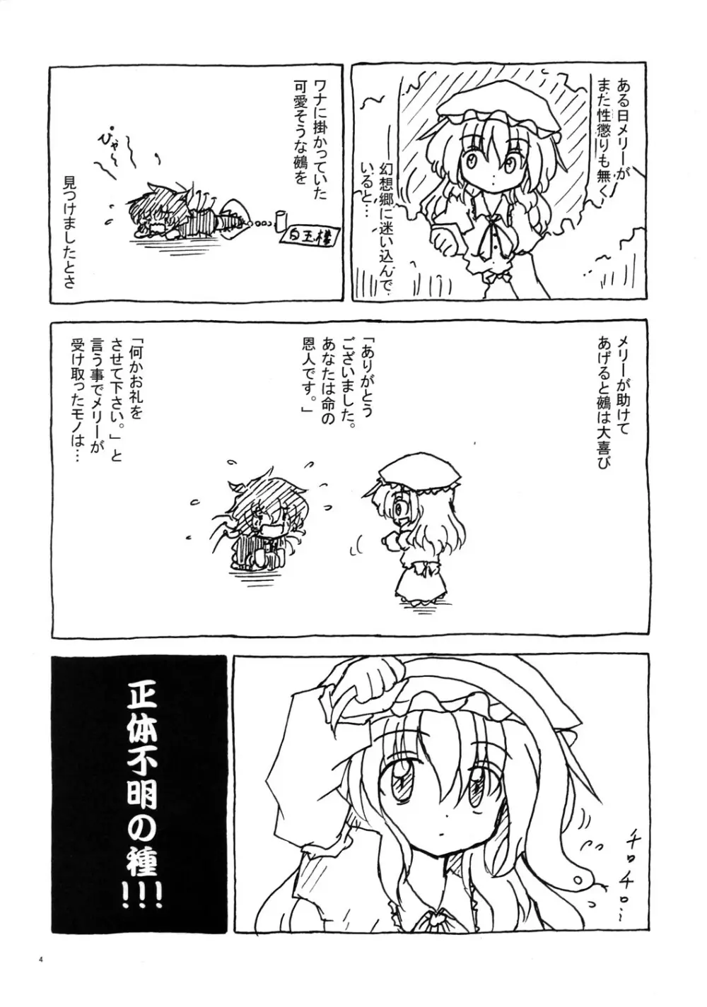 秘部に封する危険な遊び Page.3