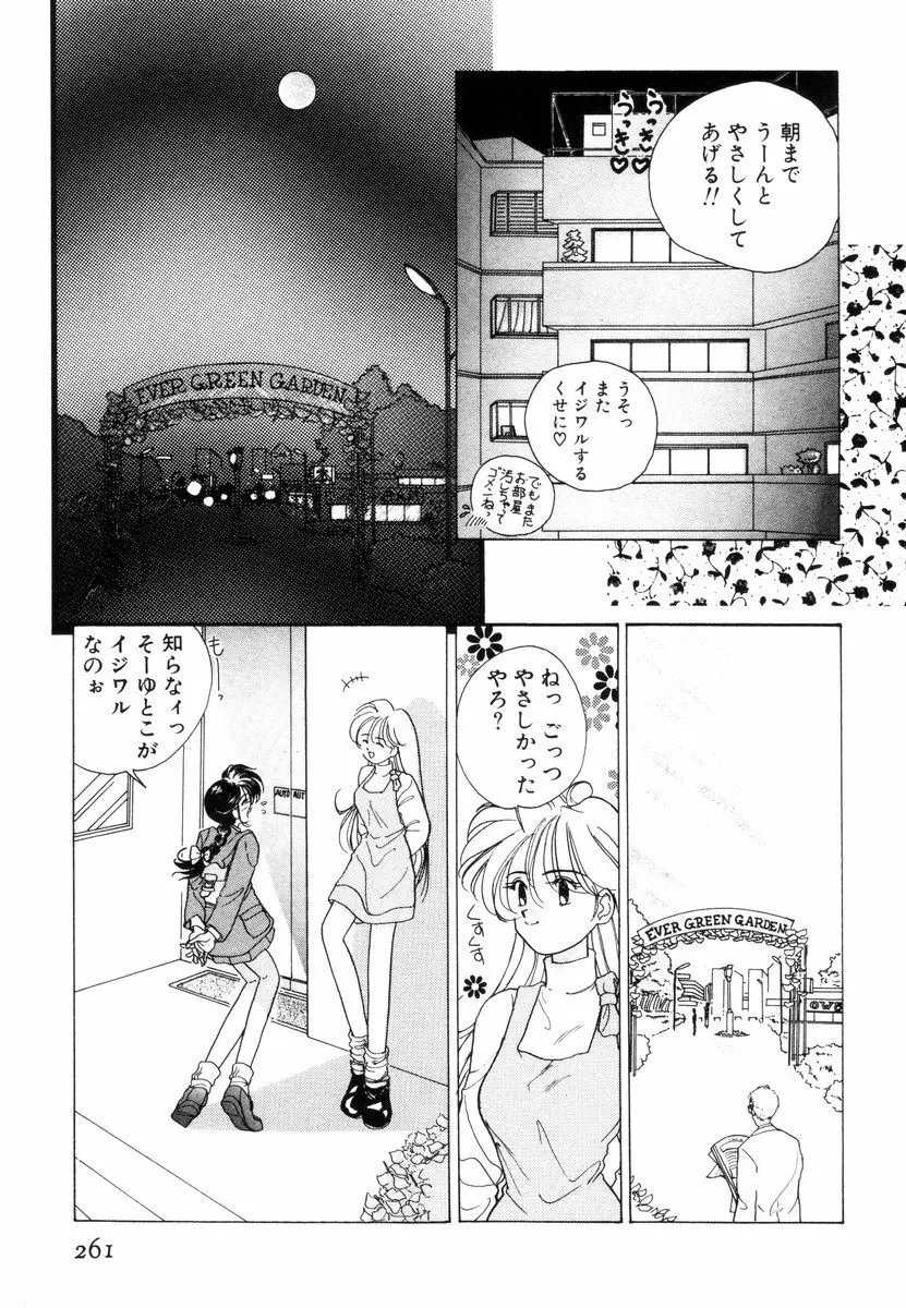 プリチィタフ Page.264