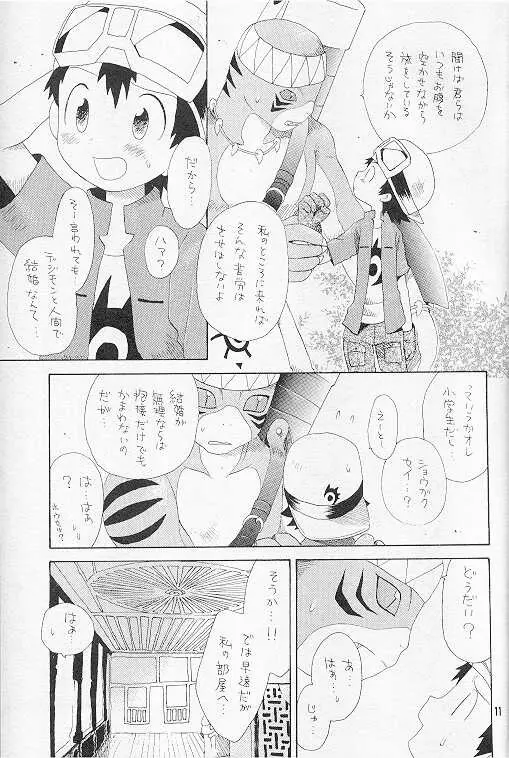 天然同胞宮殿遠近法の書 Page.10