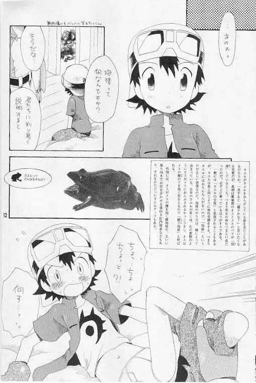 天然同胞宮殿遠近法の書 Page.11