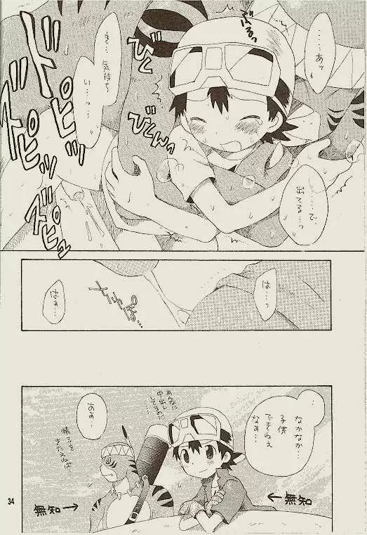 天然同胞宮殿遠近法の書 Page.33