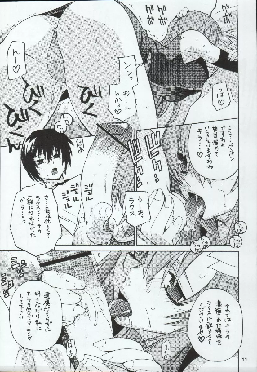 crossroad 光 Page.11