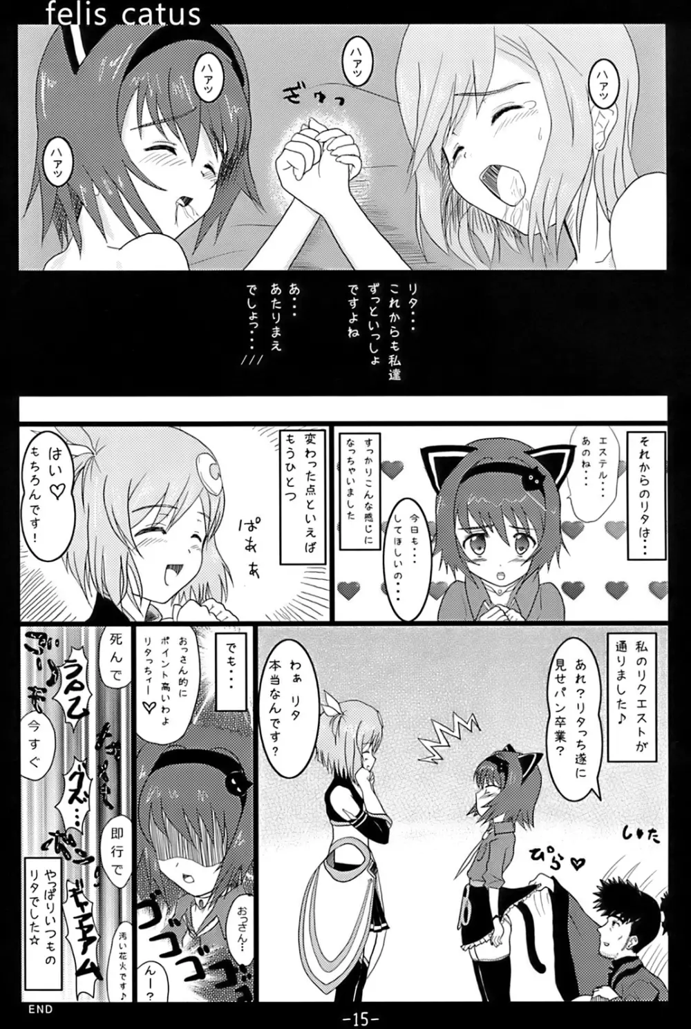 フェィスカツス Page.10