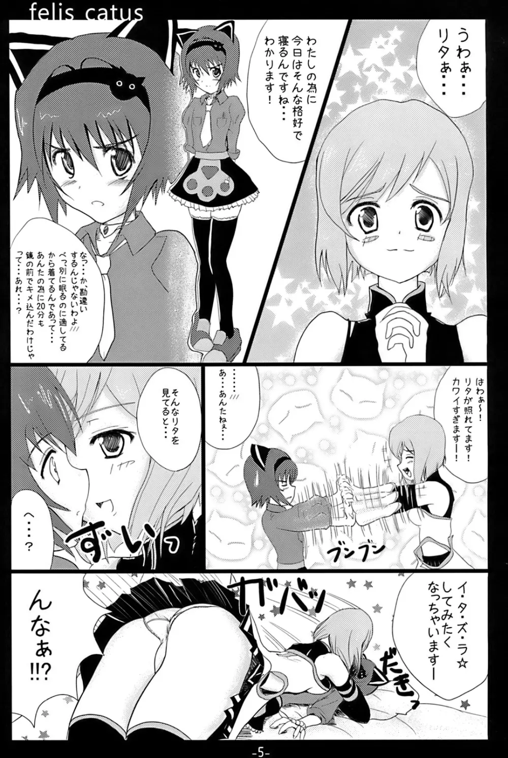 フェィスカツス Page.2