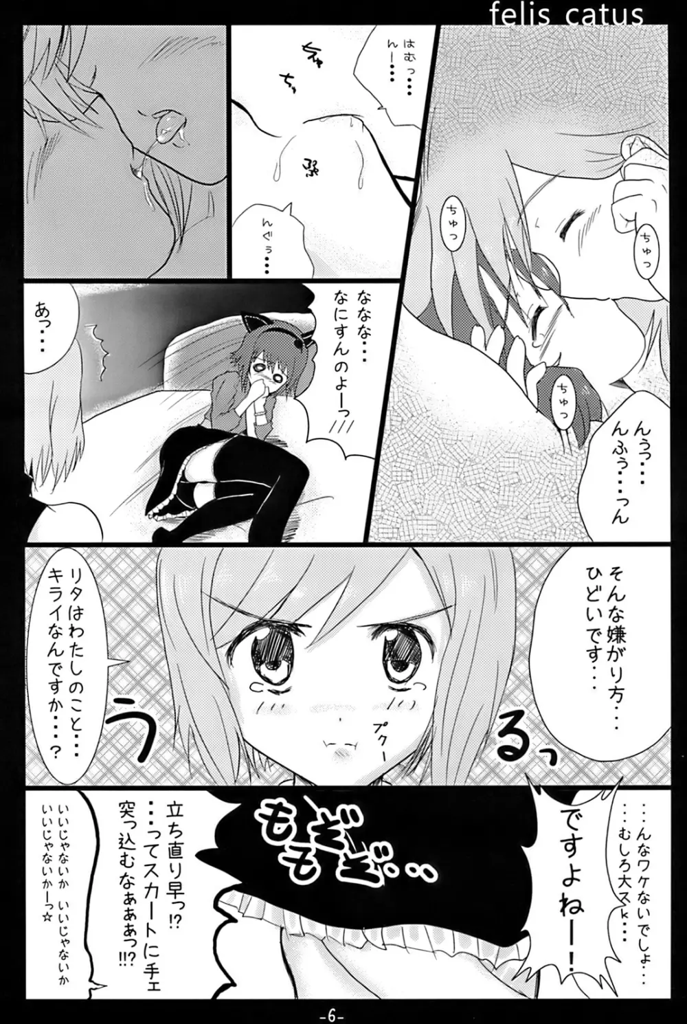 フェィスカツス Page.3