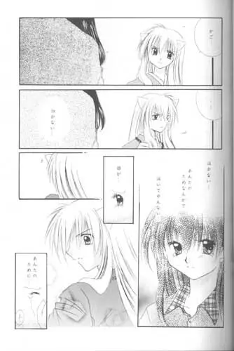 森の中の小さな翼 Page.22