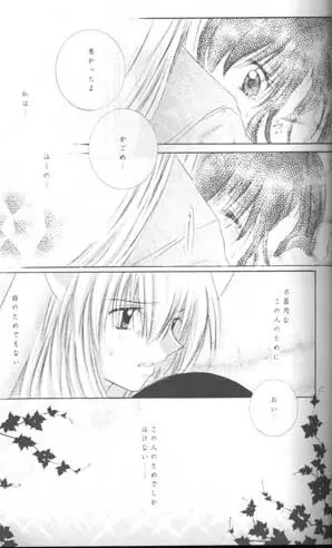 森の中の小さな翼 Page.26