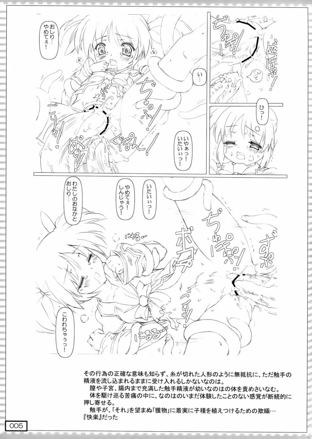 nanO RAISER Page.5