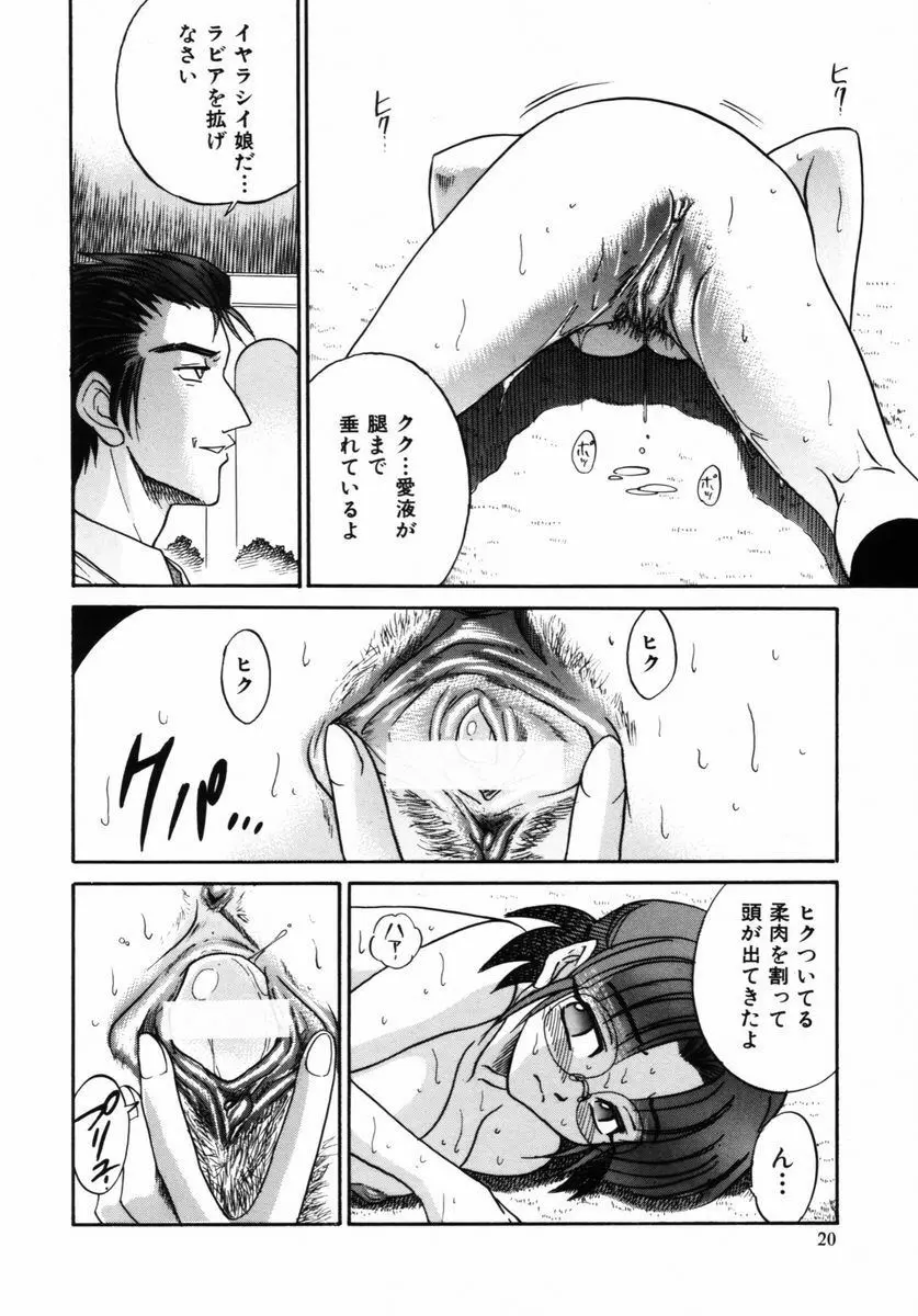 ミカエル計画 VOL.2 Page.23