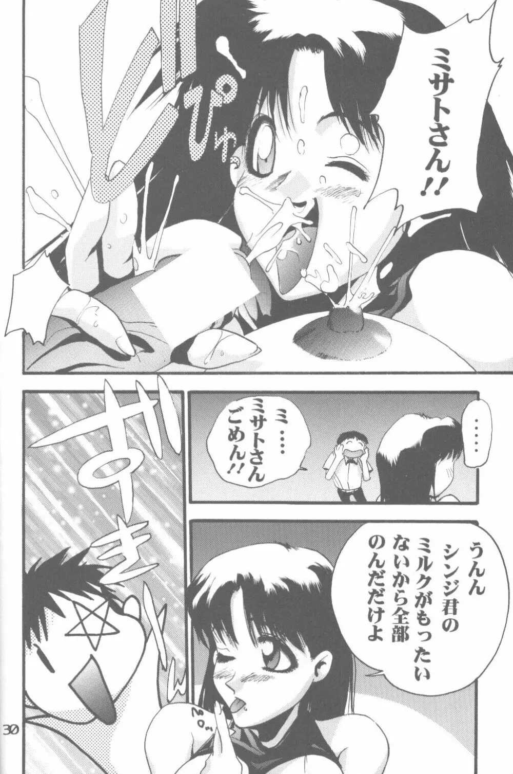 キャットフード～是沢重幸個人作品集～ Page.29