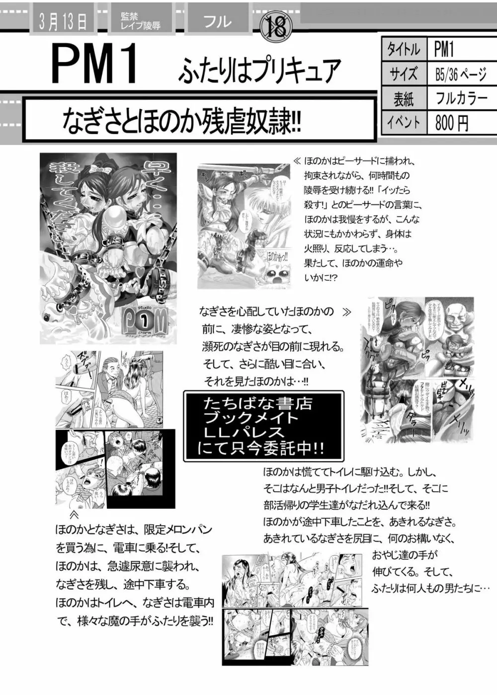 PM03 続肉便器って…何ですか? Page.46