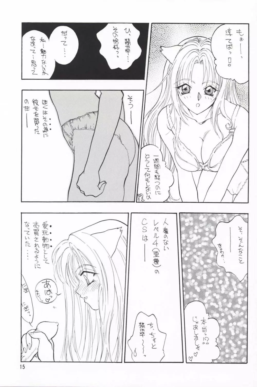 Plus-Y 25 けもみみっくす Page.14