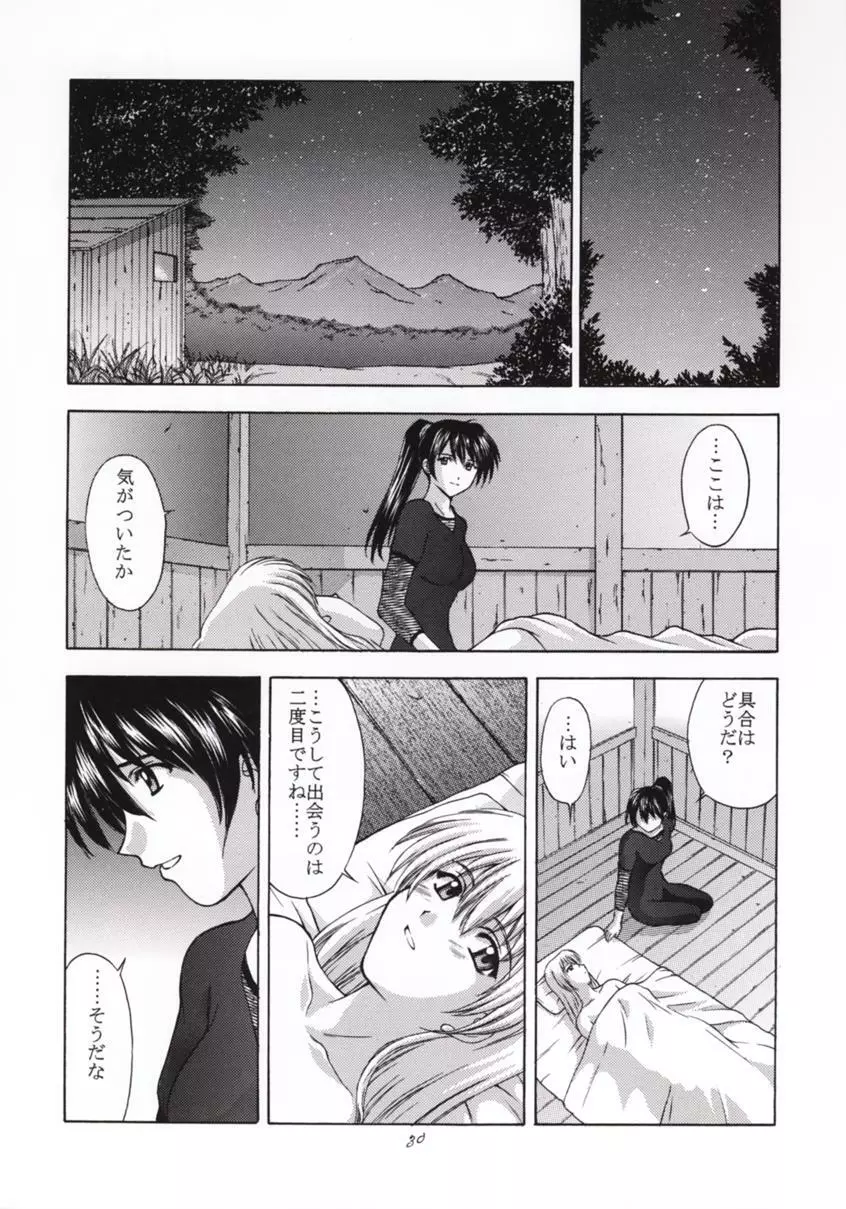 神託の虜 Page.29