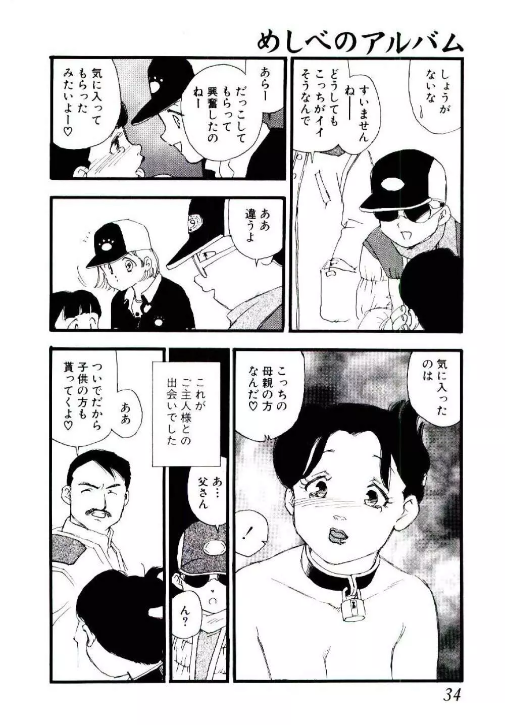 めしべのアルバム Page.33