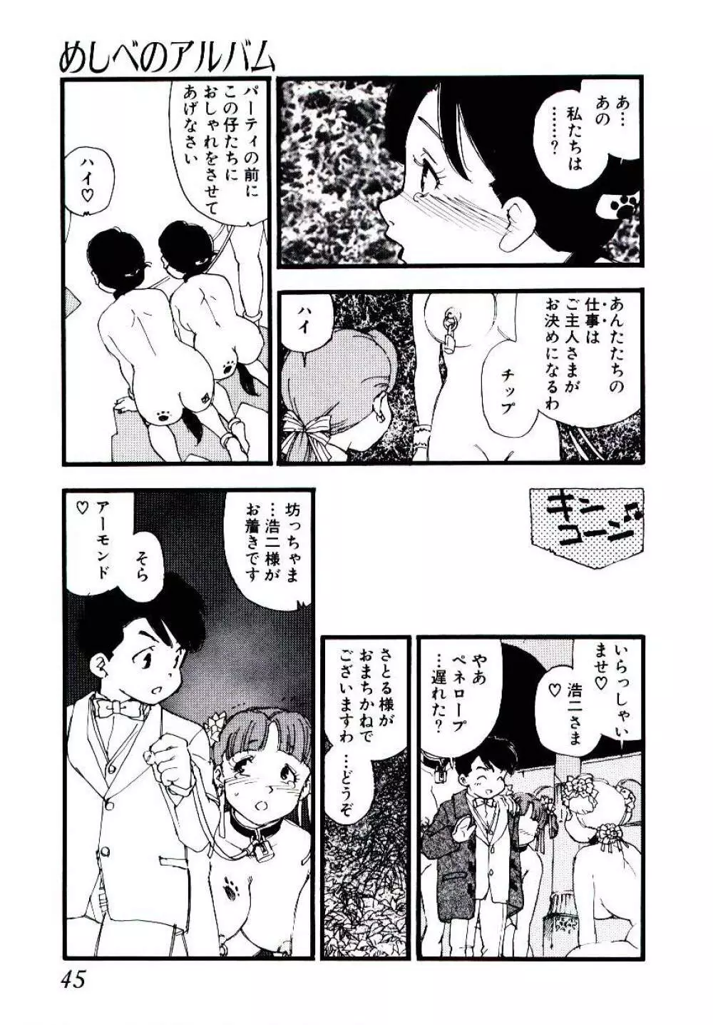 めしべのアルバム Page.44